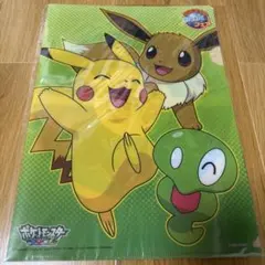 新品・未開封 ポケモン クリアファイル ピカチュウ イーブイ ジガルデ