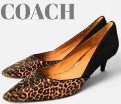 Item thumbnail for item db97b2ed-db57-4723-babb-fa10df85b86e