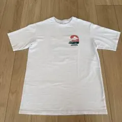 【生産終了】【完売品】パタゴニア パタロハ ハワイ限定 ハレイワ限定 Tシャツ