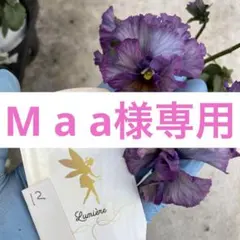 M a a様専用