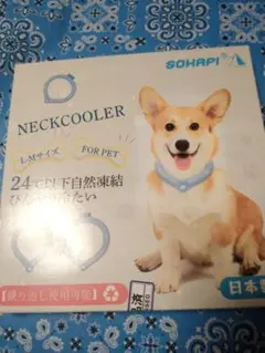 Item thumbnail for item 8d293ffd-4d31-45e4-8379-ebfbc37fea37