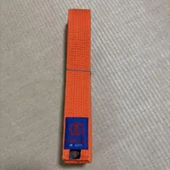 Item thumbnail for item e44ad44d-552e-4e95-99f1-edf0fac7fdaa