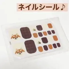 ネイルシール 足用 犬 柴犬 わんこ 可愛い 簡単 ブラウン チェック柄