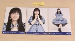 2026年最新】大園桃子 生写真 コンプの人気アイテム - メルカリ