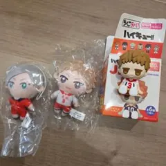 ハイキュー!! 音駒高校　夜久衛輔　灰羽リエーフ