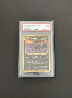 psa10】ブラッキー プレミアムファイル2 neo 旧裏 197 - メルカリ