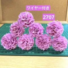 ソラフラワー　2707