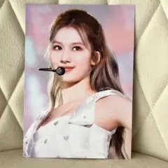 【まとめ買いお値引】 サナ ライブフォト