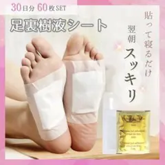 足裏 樹液 シート 【60枚】むくみ 健康樹液 フットケア 30日分 休足