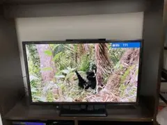 Item thumbnail for item 2f17d9ce-6769-4607-8055-a427f9d0c1a3