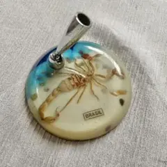 サソリ ペン立て 標本