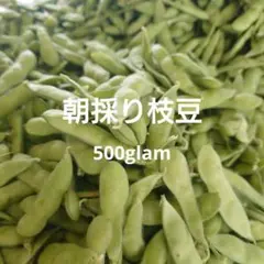 6/15収穫分】絹さやえんどう 650g 福島県産 - メルカリ
