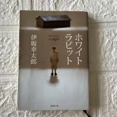 ホワイトラビット