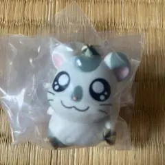 こうしくん ならぶんです。 とっとこハム太郎 てちてち大行進なのだ！