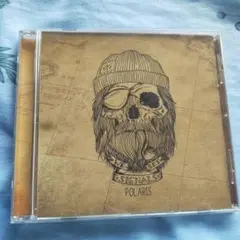 WE SET SIGNALS POLARIS