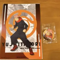 呪術廻戦 虎杖悠仁 クリアビジュアルポスター 缶バッジ