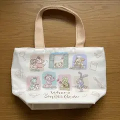 のん様用　東京ディズニーシー　スーベニアランチケース ダッフィー&フレンズ