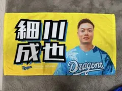 Item thumbnail for item a472f6ef-4fda-41ff-ab66-f9f941b9b6a2