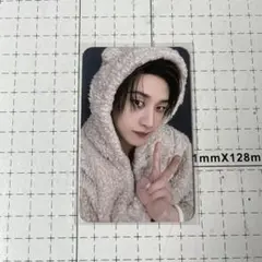 Straykids KARMA FANS プレリス リスパ トレカ バンチャン