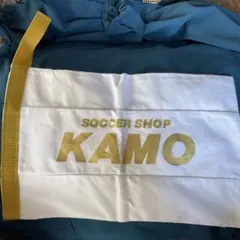 Item thumbnail for item e170a376-2345-4cad-b0fc-2fd823cf94a0