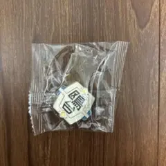 鴎台　ピンバッジ　校章