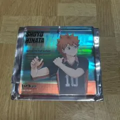 日向翔陽 ショウワノート オーロラブロッキー