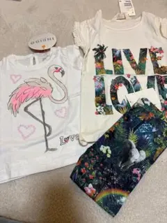 【✳︎そると様専用✳︎】 フラミンゴ柄Tシャツ・レギンスセット 95cmのサムネイル