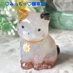 ♡みっちー♡様専用ページです♥️