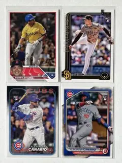 Item thumbnail for item 214c2735-bc81-4c36-b872-0a1c8c6c7230