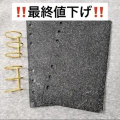 【‼️本日限定‼️】貯金　バインダー　A6　リング付　アクリル　韓国雑貨　ブラック