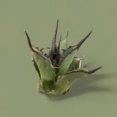 2025年最新】FO-076の人気アイテム - メルカリ