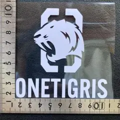 Item thumbnail for item 3901a767-488e-4d8c-b6a6-169fb658adde