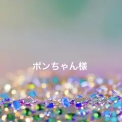 ポンちゃん様 リクエスト 2点 まとめ商品