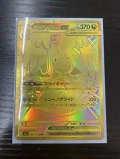 メガカイリューex MUR ホロカード HP370