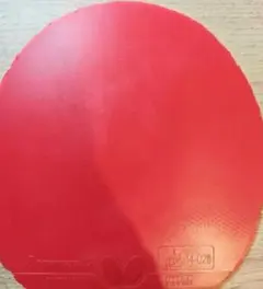 ディグニクス05