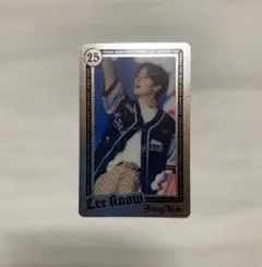 StrayKids エコパスタジアム ライブフォトカード 事後販売 リノ