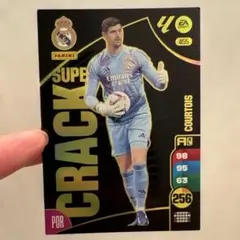 Item thumbnail for item 13dd2aa8-f046-48dc-8a7f-692581e1bfeb