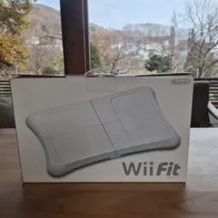 バランスボード テレビゲーム