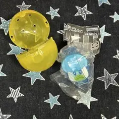 ポケモン ライトブレス クワッス