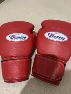 ボクシンググローブ 8