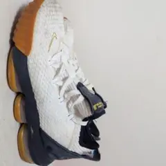 Nike LeBron スニーカー