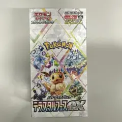 2025年最新】テラスタルフェス boxの人気アイテム - メルカリ