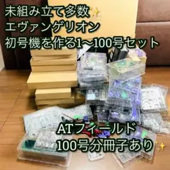 エヴァンゲリオン デアゴスティーニ 100巻セット 特典 +オプションフル