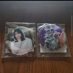 ナンバーワン戦隊ゴジュウジャーTOSくじフルカラー缶バッジ新品未開封