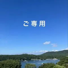 みーこLOVE♡ 様✨いつもありがとうございます✨のサムネイル