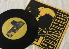 NYHC、Revelation Records、Born Against 関連