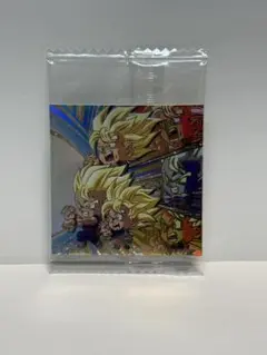 ドラゴンボール　ウエハース　シール　激突の戦士たち　超13-01