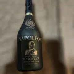 2026年最新】MAROY NAPOLEONの人気アイテム - メルカリ