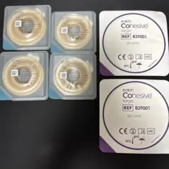 Item thumbnail for item b3072c1b-bff9-4d6b-9134-0d215de92e34