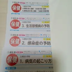 小学6年生　保健　青葉出版 カラーテスト 1年分 ワークシート　小6 未記入 小学6年生 保健 青葉出版 カラーテスト 1年分 ワークシート 小6 - メルカリ